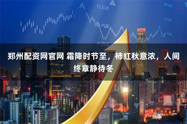郑州配资网官网 霜降时节至，柿红秋意浓，人间终章静待冬