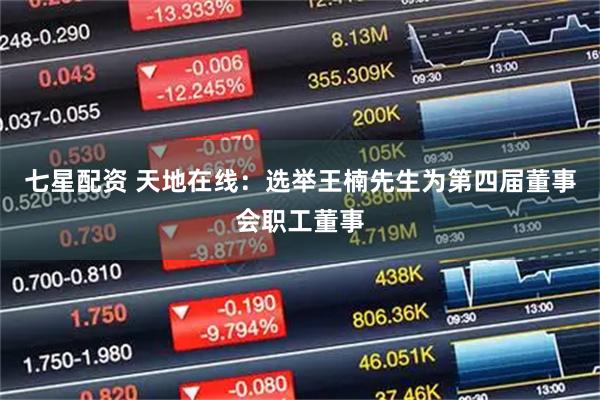 七星配资 天地在线：选举王楠先生为第四届董事会职工董事
