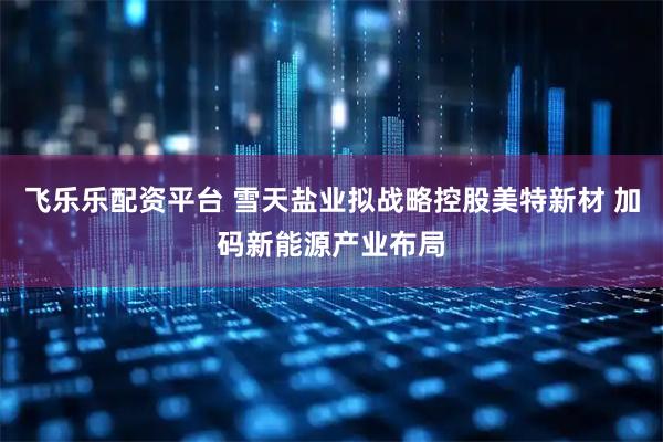飞乐乐配资平台 雪天盐业拟战略控股美特新材 加码新能源产业布局