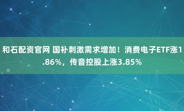 和石配资官网 国补刺激需求增加！消费电子ETF涨1.86%，传音控股上涨3.85%
